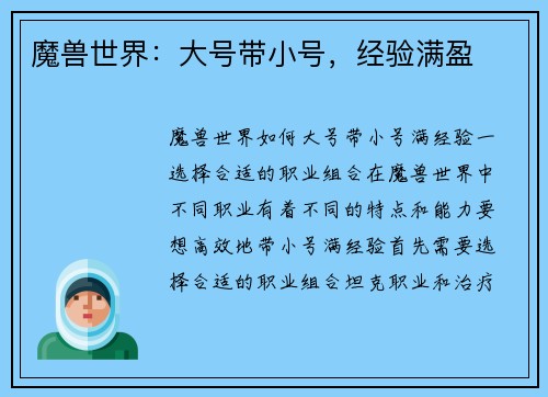 魔兽世界：大号带小号，经验满盈